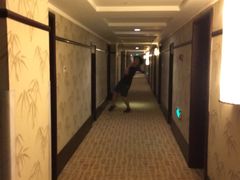 -雅戈尔富宫大酒店(观前街店)