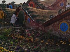 -武汉紫薇都市田园