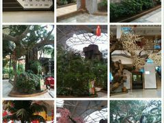 android_upload_pic-新世纪绿洲(抚顺店)