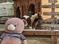 -HERRE·FARM 赫尔露营农场·团建聚会包场