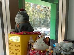 -四月宠物医院·猫专科·心脏专科·内科(转塘店)