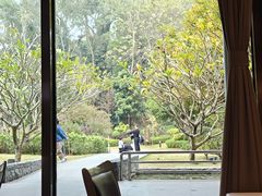 -南宁荔园维景国际酒店·荔园中餐厅