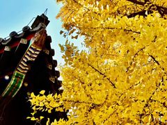-红螺寺
