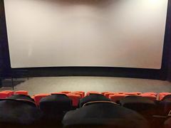 -金逸影城(武汉人信汇IMAX店)