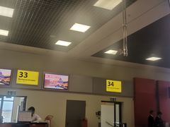 -谢列梅捷沃国际机场