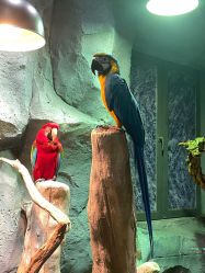 -Zoolung Zoolung动物主题公园(海信广场店)