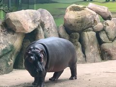 -大连森林动物园