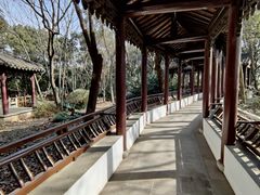 -上海佘山国家森林公园天马山园