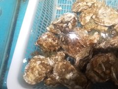 -王大厨·海鲜·家常菜