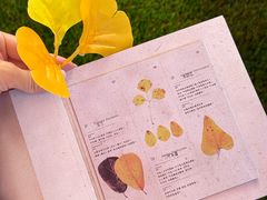 -龙湖杭州滨江天街
