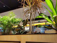 -半秋山西餐厅(沙坪坝店)