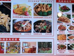 -兴隆槟榔园休闲农庄
