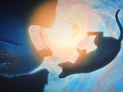 -华夏优加影城(长和国际店)