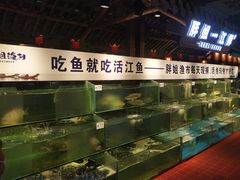 水产区-胖姐渔村(中源大道店)