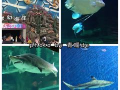 -华夏文旅海洋公园