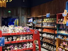 -沈阳海洋探索中心