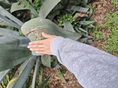 -舒家湾天主教堂
