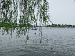 -长春市南湖公园