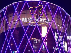 -鹏欣水游城