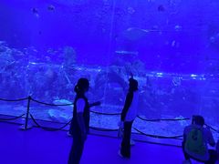 -石家庄极地海洋世界