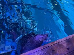 -海合安青岛极地海洋公园