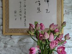 -寂照庵