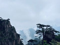 -黄山风景区