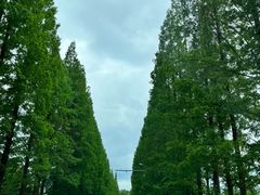 -樱桃山旅游景区