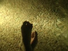 -海口观澜湖火山温泉谷