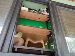 -李小姐の猫咖啡馆(五角场店)