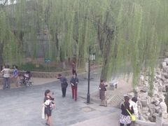 android_upload_pic-文瀛公园