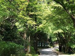 -比叡山