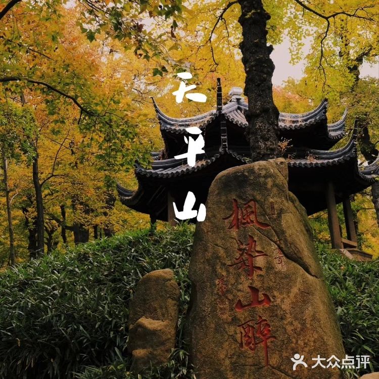 秋意浓 | 苏州天平山赏枫