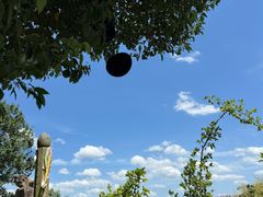 -七八九餐厅(浦江店)