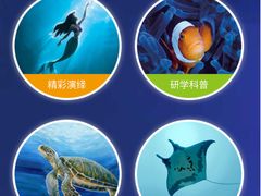 -太平洋海底世界