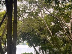 -南宁南湖公园