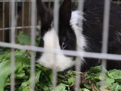 -谷咖啡·鲜花绿植花园餐厅