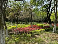 -宜兴龙背山森林公园