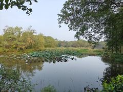 -西溪国家湿地公园