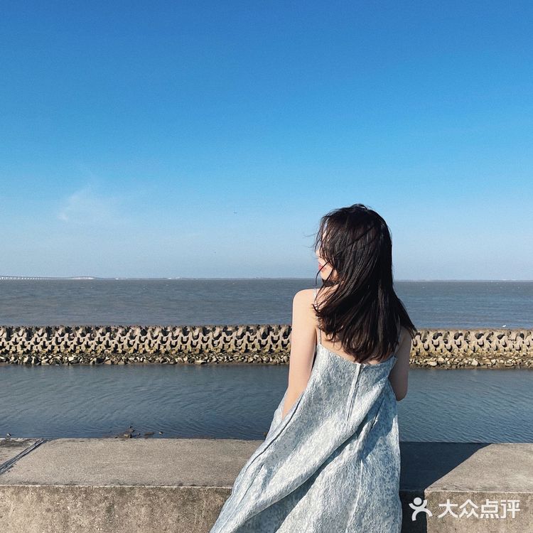 上海拍照 🛻 长兴岛丁坝《悲伤逆流成河》取景地