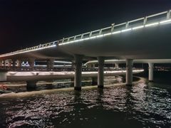 -演武大桥观景平台