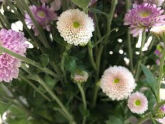 -亭亭鲜花店(中山北路店)