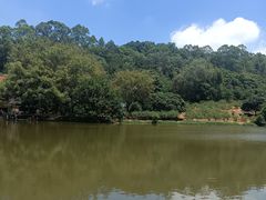 -南国桃园旅游度假区