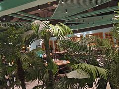 -春润大地海南椰子鸡(沙井京基百纳广场店)