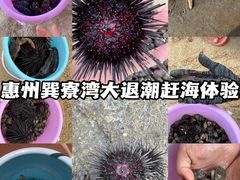 -巽寮湾