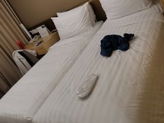 -新加坡柏薇罗切斯特酒店