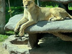 -北京野生动物园