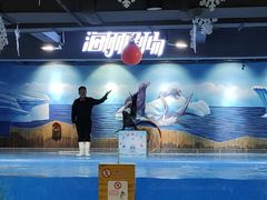 -顺德南宏海立方海洋公园
