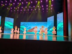 -中央芭蕾舞团·中芭艺蕾(酒仙桥明星校区)