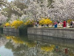 -元大都城垣遗址公园